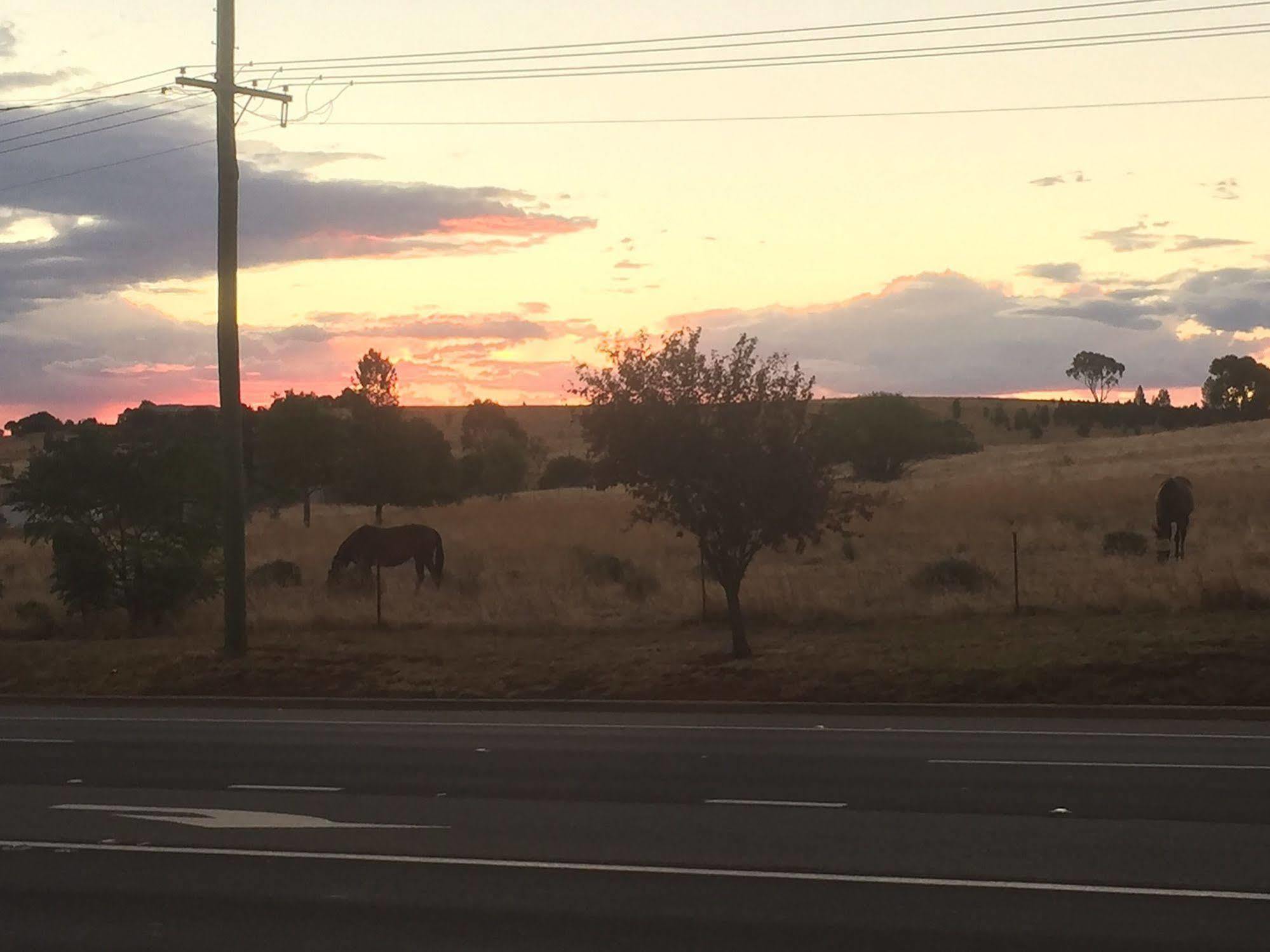 Station Motel Parkes Bagian luar foto